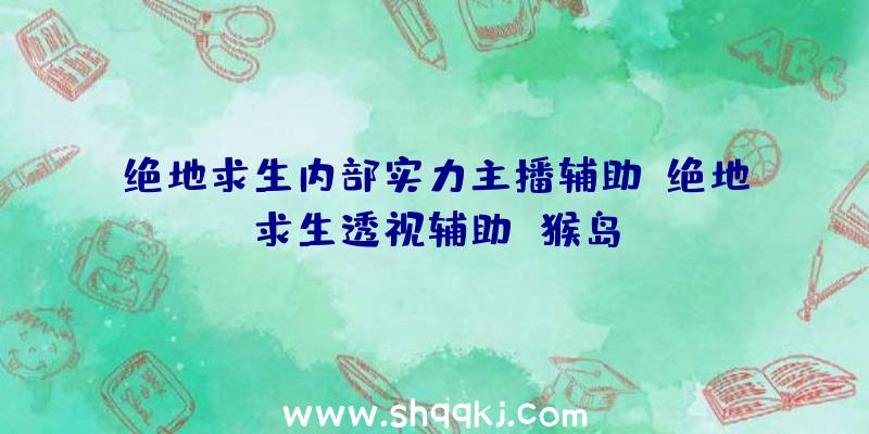 绝地求生内部实力主播辅助、绝地求生透视辅助